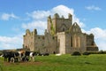 Dunbrody Abbey. county Wexford. Ireland. Royalty Free Stock Photo