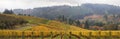 Dundee Oregon Vineyards Scenic Panorama Royalty Free Stock Photo