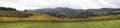 Dundee Oregon Vineyards Sweeping View Panorama Royalty Free Stock Photo
