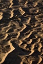 Dune abstracts in Naukluft National Park.