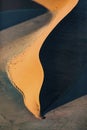 Dune abstracts in Naukluft National Park.