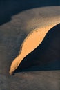 Dune abstracts in Naukluft National Park.