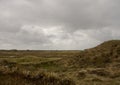 Dune area on Romo island, Denmark