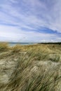 Dune at the Baltic Sea, Grass sand dune beach sea view Royalty Free Stock Photo