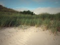 Dune with beach grass Royalty Free Stock Photo