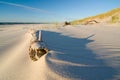 Dune on Beach at Sunset Royalty Free Stock Photo