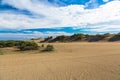 Dune on Beach at Sunset Royalty Free Stock Photo