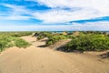 Dune on Beach at Sunset Royalty Free Stock Photo