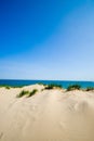 Dune beach vertical Royalty Free Stock Photo