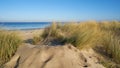 Dune on the beach of Warnemuende on the Baltic Sea coast