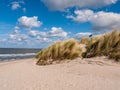 Dune covered with grass in the front of the noth sea