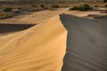 Dune crest and fixed sands Royalty Free Stock Photo