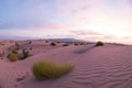 Sunrise in the dune desert Royalty Free Stock Photo