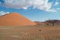 Dune 45, Desert Landscape, Sossusvlei, Namibia Royalty Free Stock Photo