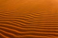 Dune in the desert, sculpted by the wind. Sand Texture.