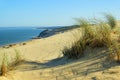 Dune du Pyla Royalty Free Stock Photo