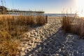 Dune Fence With Sea Oats on Fourteenth Avenue Beach Royalty Free Stock Photo