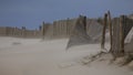 Dune fences in a windy day