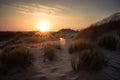 dune field, with the sun rising behind the dunes