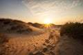 dune field, with the sun rising behind the dunes