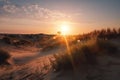 dune field, with the sun rising behind the dunes