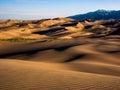 Dune Field at Sunset/Sunrise Royalty Free Stock Photo