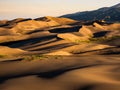 Dune Field at Sunset/Sunrise Royalty Free Stock Photo