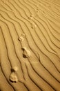 Dune Footprints Royalty Free Stock Photo
