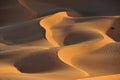 Dune formations in Rub al Khali Royalty Free Stock Photo