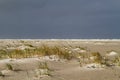 Dune forming on a stormy beach Royalty Free Stock Photo