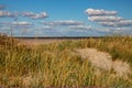 Dune grass on the beach of St. Peter Ording Royalty Free Stock Photo