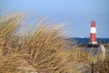 dune grass near the sea in front of a lighthouse Royalty Free Stock Photo