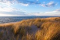 Dune Grass on a Summer Day. Lake Michigan Beach. M Royalty Free Stock Photo