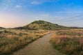 Dune at Henne-Strand Royalty Free Stock Photo