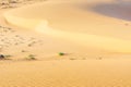 Sand dunes in the Center of Vietnam