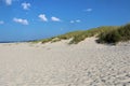 A coastal wandering dunes in Poland