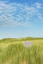 Dune landscape at the Dutch coast