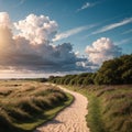 Dune landscape Hollands Duin Noordwijk in the Netherlands with bright sunlight and cumulus clouds in the sky Royalty Free Stock Photo