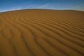 Dune landscape, La Pampa , Argentina