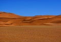 Dune Landscape Royalty Free Stock Photo