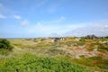 Dune landscape at the North Sea with holiday homes near Henne Strand, Jutland Denmark