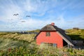 Dune landscape at the North Sea, Jutland Denmark Scandinavia Royalty Free Stock Photo