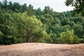 Dune in the middle of Provin trails in Grand Rapids Michigan Royalty Free Stock Photo