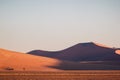 Dune 45 in Namib Naukluft Desert at sunrise, Namibia, Southern Africa Royalty Free Stock Photo