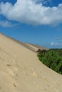 Silhouette of the Dune of Pilat. Royalty Free Stock Photo