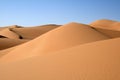 Dune of the Sahara desert Royalty Free Stock Photo