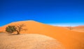 Dune 45, Sossusvlei, Namib-Naukluft National Park, Namibia Royalty Free Stock Photo