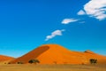 The dune 40 in Sossusvlei, Namib Naukluft National Park, Namibia Royalty Free Stock Photo