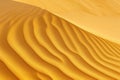 Dune Symphony Royalty Free Stock Photo