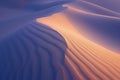 Dune Symphony Royalty Free Stock Photo